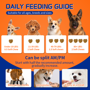 Biobiopaw Probiotische Kauwtabletten voor Honden, 6-Stammen Lactobacillus, Ondersteuning Darmgezondheid, Op basis van Advies van Dierenartsen, Gezondheidszorgsupplementen - Product Image 4