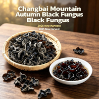 Champignons noirs sauvages d'automne de qualité supérieure 500g, champignons d'oreille de bois séchés naturels, sans additifs, ingrédient sain pour tous