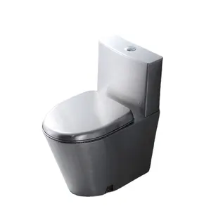 Simple fashion stainless steel high quality silver stainless steel toilet bowl seats