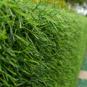 Gazon artificiel haut de gamme en forme de C pour terrains de putting, enclos pour chiens, aménagements paysagers, hauteur de 40 mm, adapté aux animaux domestiques, sans plomb, anti-UV, ignifuge - Product Image 4