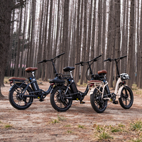 Vélo cargo électrique pliable KOOLUX X16 20 pouces 7 vitesses avec batterie au lithium et panier avant