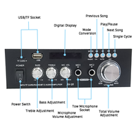 AV20 Dijital FM Radyo Stereo Amplifikatör 20W+20W Çift Mikrofonlu USB Ev Sinema Sistemi