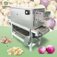 Éplucheuse automatique de peaux d'oignon, meilleure ligne de pelage pneumatique, machine à éplucher industrielle électrique, petit prix pour l'ail en vente