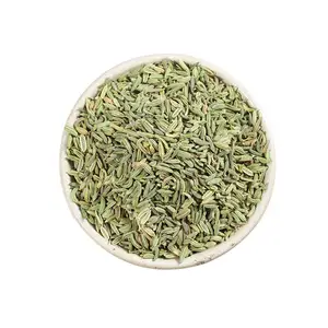 Wholesale Supply Single Spices And Herbs Chinese Fennel seeds
