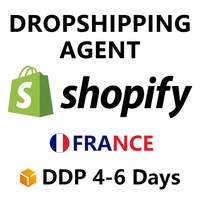 Agent de dropshipping Shopify US/AU/UE mondial, agent d'achat 1688, livraison porte-à-porte DDP à faible coût par avion + express