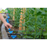 Système d'irrigation goutte à goutte intelligent avec couverture en PE pour serres agricoles multi-chapelles - Kit personnalisé pour la réussite des projets