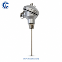 Termokopel Berulir Tipe K dengan Ulir NPT/G (1/4"-3/4"), 3-16mm Kustom, 0-1300 ° C, Tahan Air untuk Tungku, Kiln, Boiler