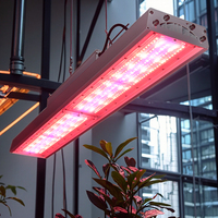 Lampe de culture LED à spectre complet IP66 pour la croissance des plantes hydroponiques, lampes de culture à spectre complet, lampe de croissance des plantes à intensité variable