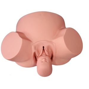 Maniquí de Enseñanza Médica, Modelo Avanzado para Entrenamiento de Partería - Product Image 1