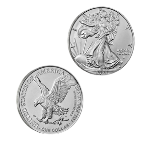 Medaglia Commemorativa in Metallo con Motivo Aquila, Design Classico Liberty Walking, Regalo Espositivo - Product Image 1