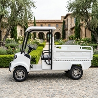 Véhicule de transport électrique agricole à basse vitesse, mini-camion de fret à 4 roues, pick-up électrique agricole pour la livraison domestique