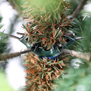   ต้นคริสต์มาสประดิษฐ์พร้อมไฟประดับอัตโนมัติ พร้อมเครื่องประดับคริสต์มาสสุดหรู - Product Image 6