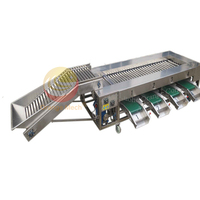 Automatische sorteermachine voor fruit en groenten (aardappel, bietenwortel, kerstomaat, sinaasappel, citroen) voor sortering op grootte in de 4e, 5e en 6e klas.