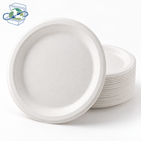 Assiettes à dessert en bagasse de canne à sucre compostables et biodégradables de 7 pouces pour gâteaux, amuse-gueules, mariages et fêtes (vente en gros)