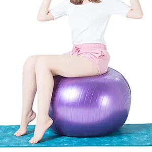 Hot sale yoga gym ball Yoga Balance Ball with Ring Base Wholesale custom logo colorful high quality gym fitness