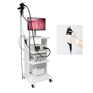 Ronchoscópio de vídeo flexível veterinário para diagnóstico de garganta, nariz e orelha, endoscópio portátil, câmera endoscópica Full Hd, mais vendido