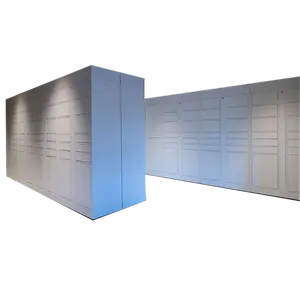 Headleader Fabriek Oem Custom Design Metalen Kast Van Hoge Kwaliteit Smart Pakket Locker Slimme Levering Lockers Voor Retail Commercial