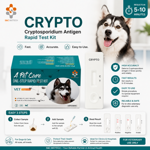 Kit de <span class=keywords><strong>test</strong></span> de <span class=keywords><strong>grossesse</strong></span> rapide RLN canin jetable, <span class=keywords><strong>test</strong></span> d'antigène de relaxine pour chien, usage vétérinaire pour la reproduction - Product Image 5