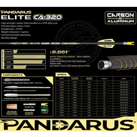 Flèches Pandarus Elite CA320 3.2mm ACC, tiges de flèches X10 pour tir à l'arc et tir sur cible