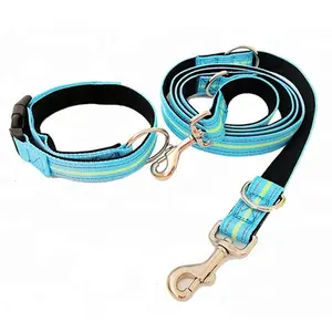 Correa de nailon para perro, accesorio profesional para mascotas, forro Teal, reflectante, suave, acolchado