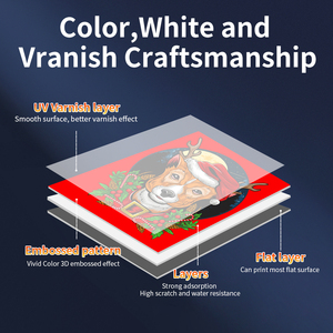 Impresora UV Automática ColorSun JS6090, Impresora Plana UV A1 con Plataforma de Succión para Impresión en Madera, Carcasas de Teléfono, Metal y Vidrio - Product Image 6