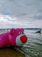 Tube remorquable gonflable d'ours de fraise commercial bateau de remorquage de Pikachu bateau de disco à vendre