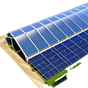 Solar-Powered Agricultural Innovations Growing Crops Sustainably