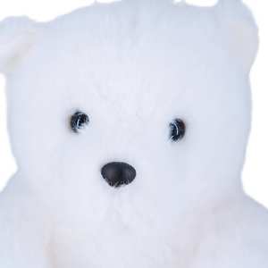 La fábrica vende personalizado lindo 30CM Polar blanco oso de peluche de juguete de nuevo diseño suave peluche ronroneo oso Super suave Material de felpa - Product Image 3