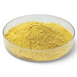 Натуральный высококонцентрированный 40% порошок <span class=keywords><strong>DHA</strong></span> из водорослей с запатентованным растительным экстрактом, функциональный питательный продукт во флаконе - Product Image 5