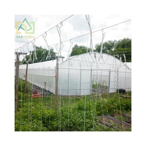 Bán buôn bán Hot kích thước lớn đường hầm cao nông nghiệp nhà kính cho cà chua hạt giống rau phát triển nhà kính - Product Image 4