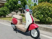 Vente directe d'usine, vélo électrique de banlieue 60V 20AH 800W, scooter électrique de ville