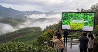 Pantalla LED para Exteriores P10.42 IP66 Resistente al Agua, Servicio Frontal y Trasero, Alto Brillo, 7680Hz, Gabinete de Aluminio para Publicidad Comercial