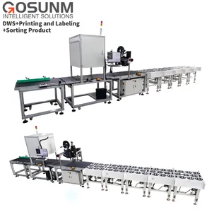 Professional Design Multifunctional Dws+Print And Labeling+Sorting Combination Production Line For Factory Warehouse Logistics