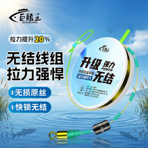 Juwang Knotless Fishing Line 2.5g High Strength Quick Lock Main Line For Streams Rivers Lakes - Product Image 2
