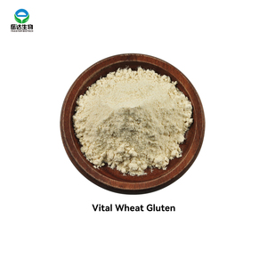 מזון יצרן תוספי מזון גלוטן חיטה חיוני כיתה מזון - Product Image 5