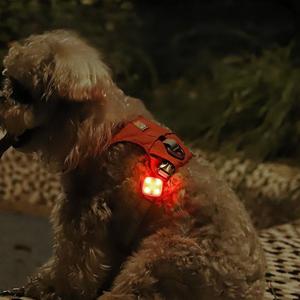 Type-C Rechargeable Led Pet with 4 Modes IPX4 Waterproof Durable <b>Light</b> up <b>Dog</b> Collar Pendant for Night - Product Image 3