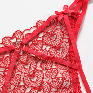 Tangas Sexys de Encaje Ladymate ODM/OEM, Tangas Transparentes para Mujer, Ropa Interior Bordada, Tangas con <span class=keywords><strong>Tanga</strong></span>, Tangas Sexys de Encaje - Product Image 3