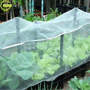 Bán tốt nhất 40 lưới côn trùng bắt <span class=keywords><strong>Net</strong></span> cho sân - Product Image 6