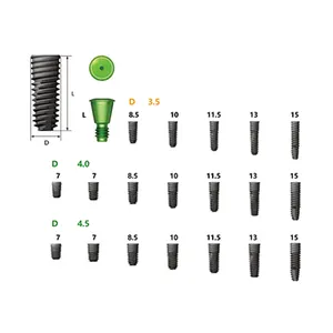 Implante Dental Titanium Implant Bone Level Dental Implant