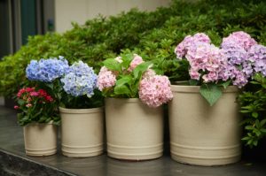 Ensemble de pots à fleurs en terre cuite, finition émaillée, design cylindrique, pour la maison, le jardin, l'intérieur et l'extérieur, durable, écologique, vente en gros - Product Image 3