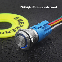 Interrupteur à bouton-poussoir momentané 16 mm/19 mm/22 mm avec LED SPDT DPDT, interrupteur à bouton-poussoir métallique étanche