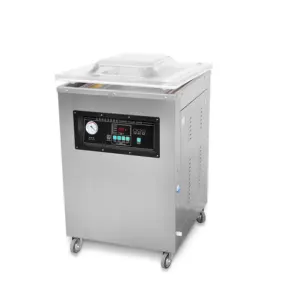 Dz-500/2E Single Chamber Vacuum Packaging Machine CE Approved food Sealing machine
