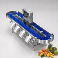Op maat gemaakte operationele spanningsfruit sorteermachine, gefabriceerd in China voor wereldwijde commerciële landbouwverwerking
