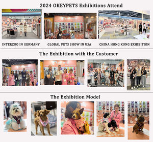 Okeyfets מפעל חדש-אופנה ירוק כהה התאמה אישית לחג המולד עיצוב חג המולד כלב צווארון leash סט רתמה קטיפה לכלב - Product Image 6