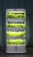 Fournitures agricoles hydroponiques automatiques pour le jardin domestique Système hydroponique vertical complet pour la culture de légumes