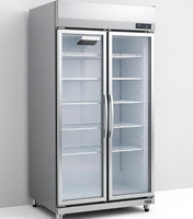 Réfrigérateur commercial à double porte vitrée pour boissons, vertical, à refroidissement par air, avec éclairage LED, pour café, bar, épicerie