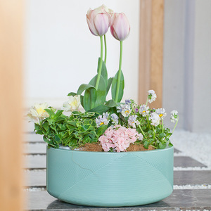 <span class=keywords><strong>Pot</strong></span> de fleur en plastique hydroponique de Lotus non poreux simple nordique P132 <span class=keywords><strong>pot</strong></span> de fleur en cuivre épaissi argent herbe nénuphar bol planteur - Product Image 6