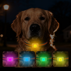 Rastreador GPS 4G G63 IP67 a Prueba de Agua para Perros y Gatos, Compatible con Aplicación, Monitoreo de Salud y Actividad de <span class=keywords><strong>Mascotas</strong></span> en Tiempo Real y Luces LED de Colores - Product Image 3