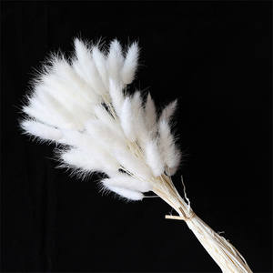 Bouquet de Queues de Lièvre Herbe Naturelle Séchée Arrangement Floral Préservé <span class=keywords><strong>Lagurus</strong></span> Ovatus Style Bohème pour Décoration de Pâques Mariage Maison - Product Image 6