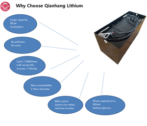 Meilleur <span class=keywords><strong>prix</strong></span> de gros pour batteries LiFePO4 51.2V 48V 150Ah 230Ah 280Ah 320Ah 410Ah personnalisables pour chariots élévateurs, onduleurs et chariots de <span class=keywords><strong>golf</strong></span> - Product Image 6